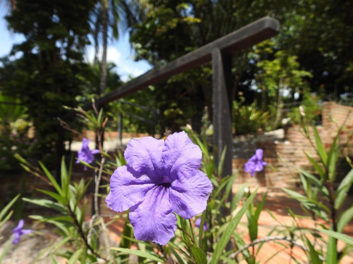 Pousada Morada dos Ventos Praia de Pipa Exterior foto