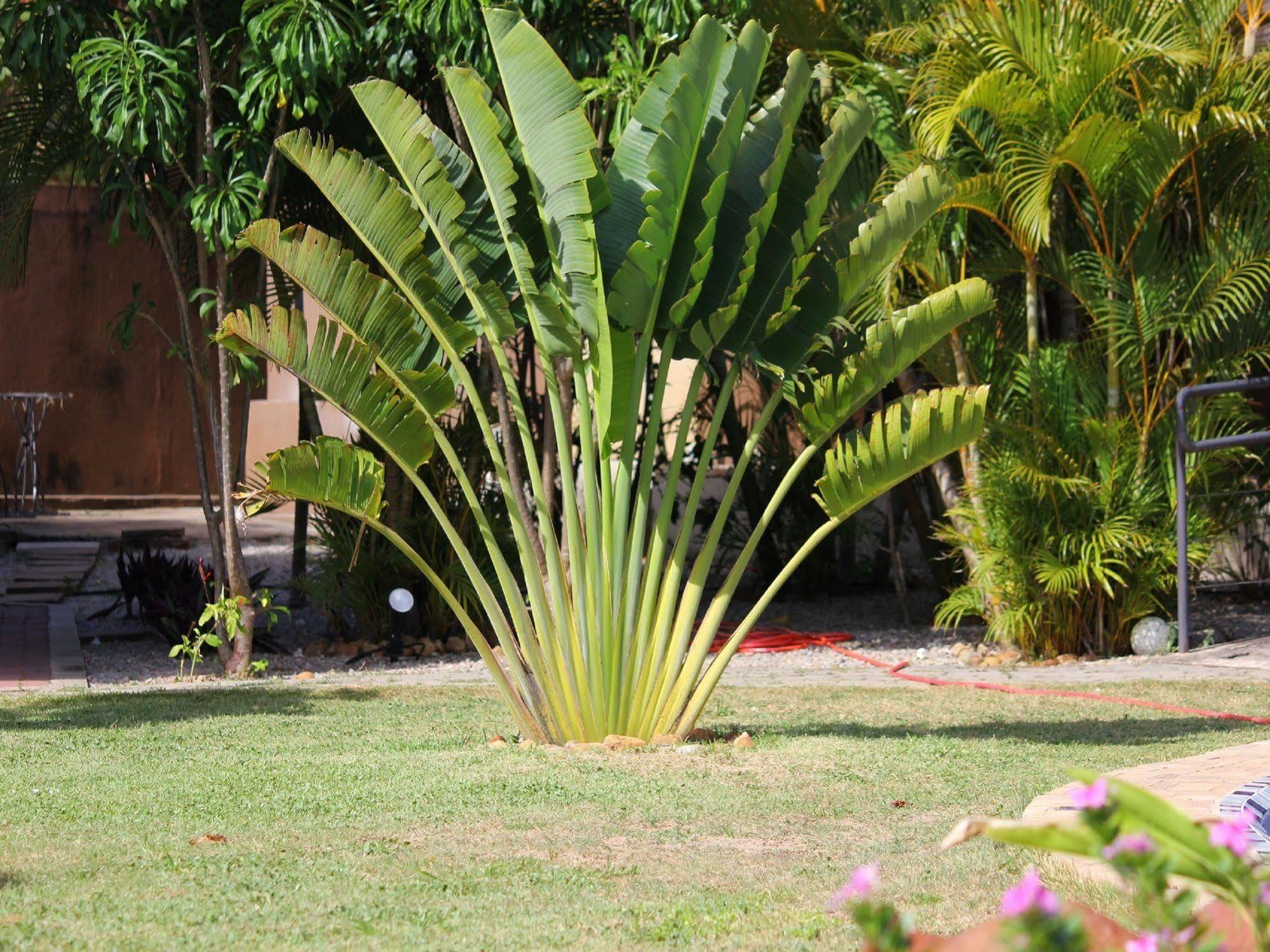 Pousada Morada dos Ventos Praia de Pipa Exterior foto